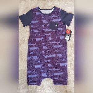 Rags to Raches Alice in Wonderland